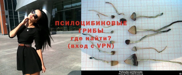 стафф Арсеньев
