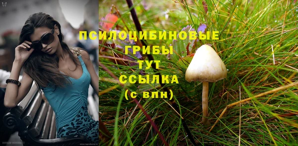 каннабис Аркадак