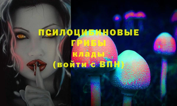 МДПВ Армянск