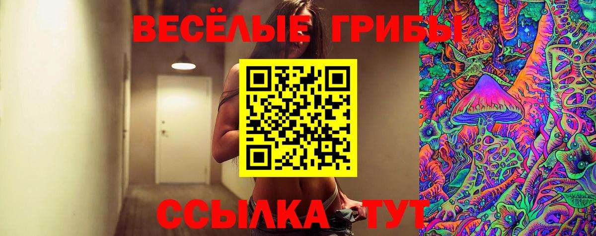 Псилоцибиновые грибы Magic Shrooms Полевской