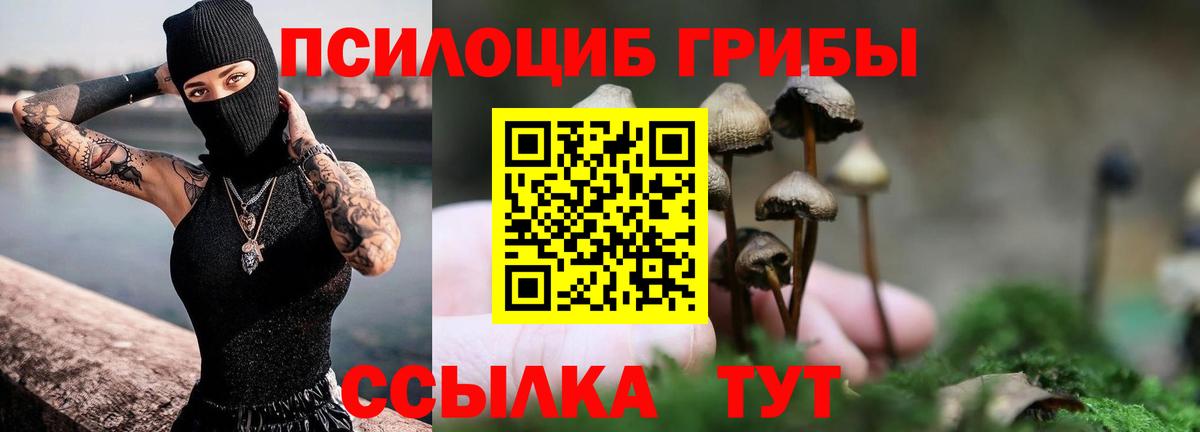 Галлюциногенные грибы мицелий  Вход с VPN  Полевской 