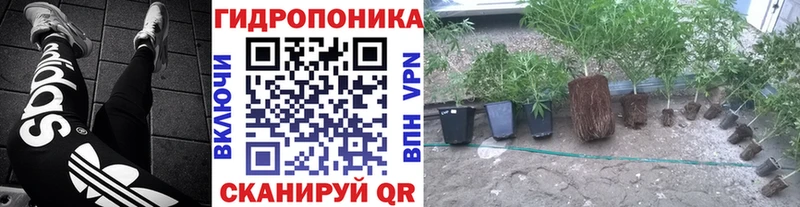 МАРИХУАНА план  Полевской 
